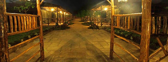 929/The Fern Gir Forest Resort - Gir National Park 11.jpg